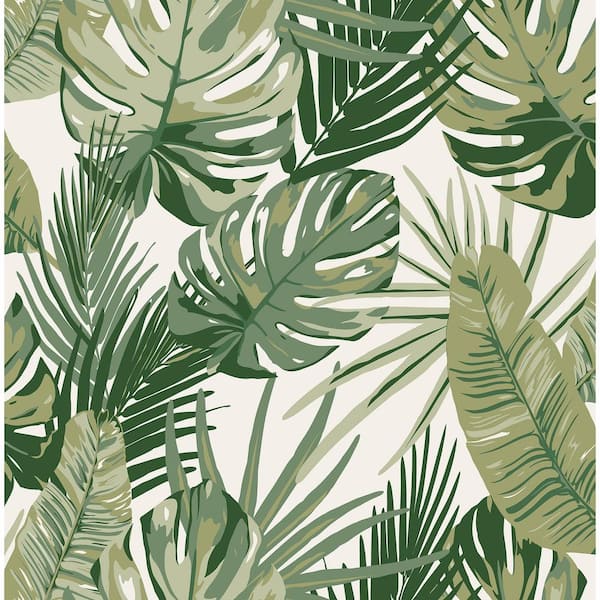 Green Palmero Peel and Stick Wallpaper Sample RZS4520SAM - The Home Depot