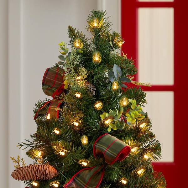 Get Alexander Pine Tree Home Depot PNG