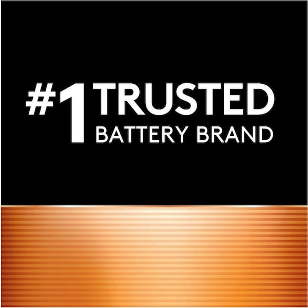 Duracell Coppertop Alkaline AAA Battery (10-Pack), Triple A Batteries  004133317064 - The Home Depot