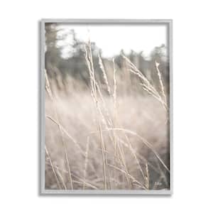 Warm Rural Field Tall Grass Countryside Scenery by Donnie Quillen Framed Nature Art Print 14 in. x 11 in.
