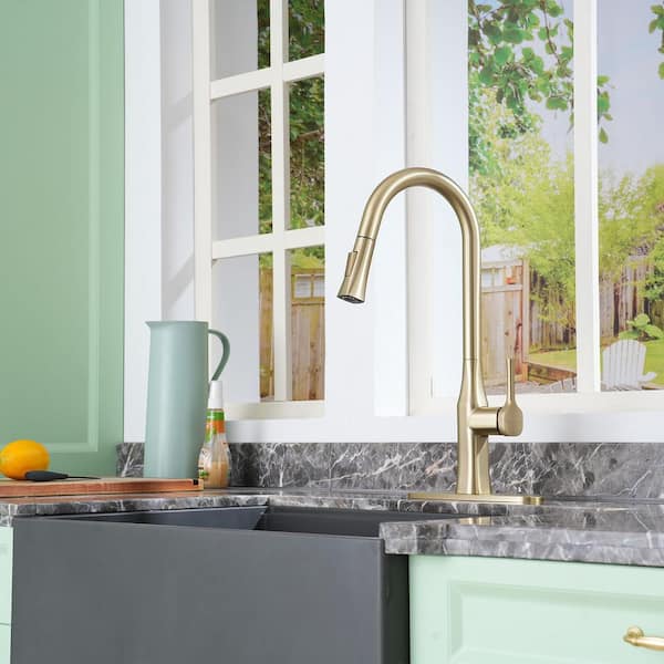 2-Spray Patterns Single Handle Pull Down Sprayer Kitchen Faucet with Deckplate and Water Supply Hoses in Brushed Gold