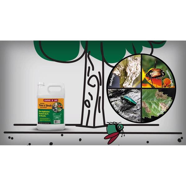 Category: Inssect Traps and Deterrents - Enviromart - Enviromart