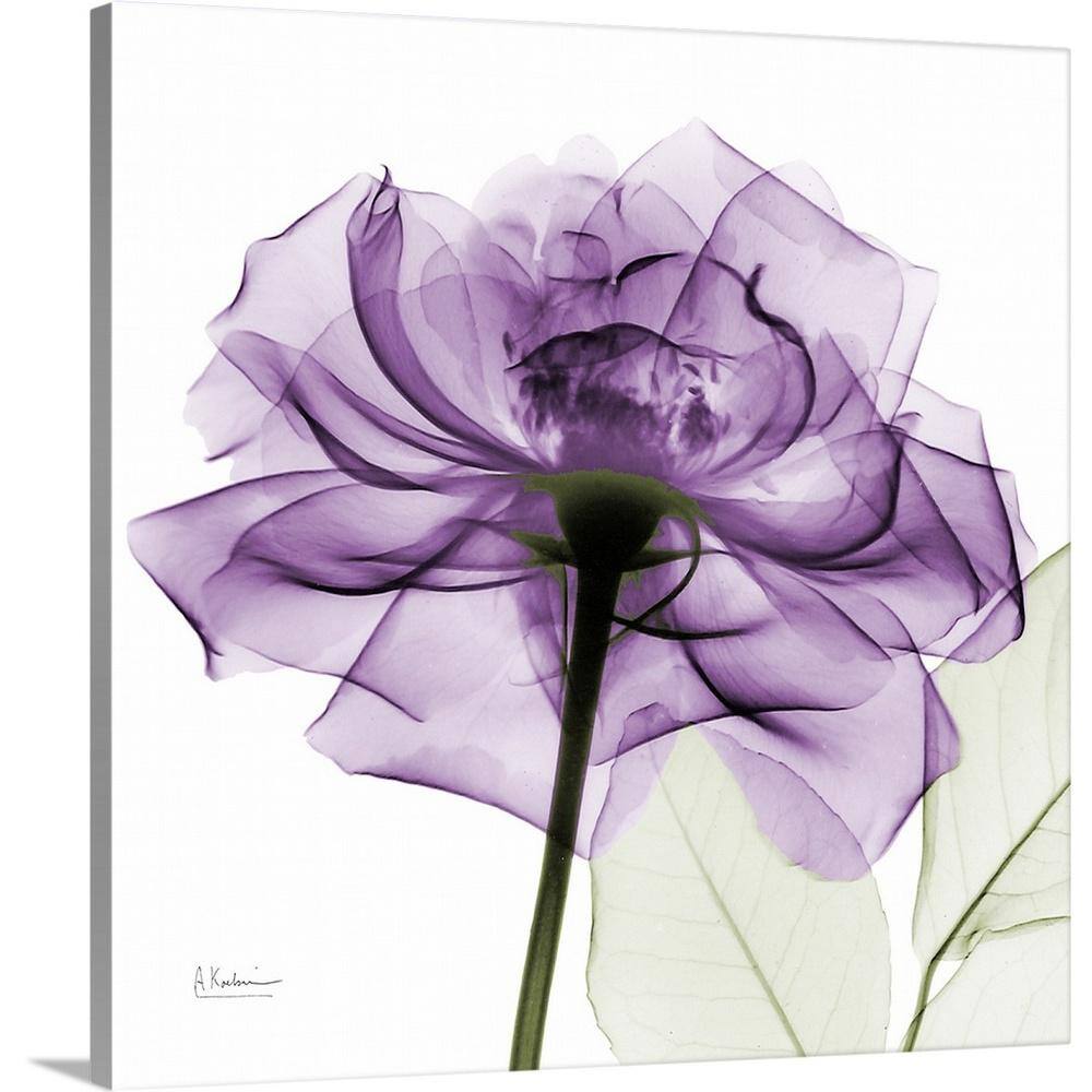 Purple Rose X-Ray Photograph by Albert Koetsier Canvas Wall Art price history on PriceWatchPro