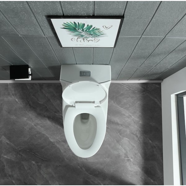 Abruzzo One-Piece Toilet 1.1 GPF/1.6 GPF Dual Flush Elongated Toilet with Soft Closing Seat in Glossy White