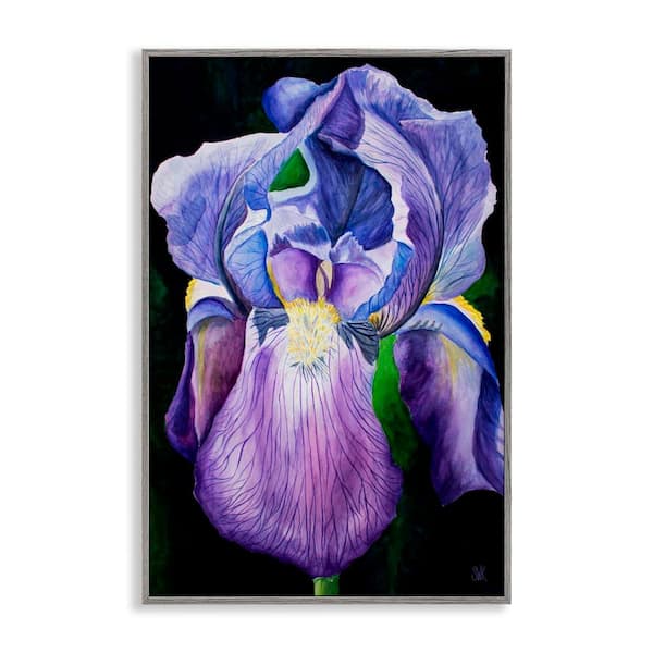 Purple Iris Petals by Sarah Waldron Kimball Gray Framed Giclee Art Print Nature 12 in. x 18 in.