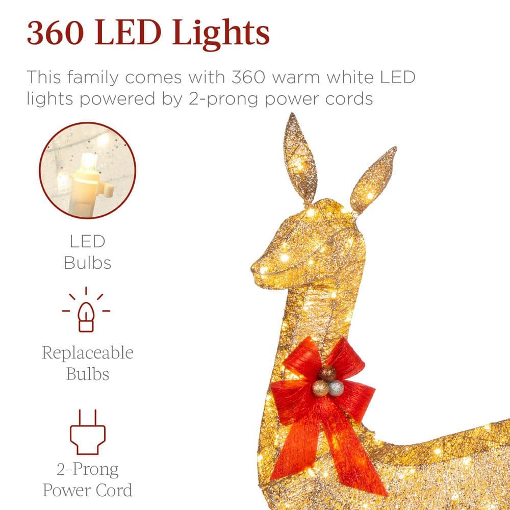 Gold Lighted Christmas Deer Family Set with LED Lights