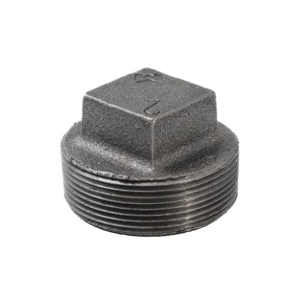 Southland 2 in. Black Malleable Iron Plug Fitting