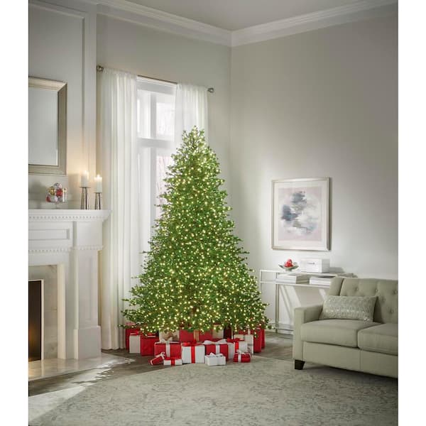 Home Decorators Collection 9 ft Elegant Grand Fir Pre-Lit Artificial Christmas with Timer with 3000 Lights W14N0139 - The Home Depot