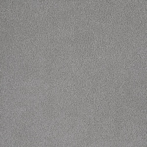 First Class II - Emery - Beige 50 oz. SD Polyester Texture Installed Carpet