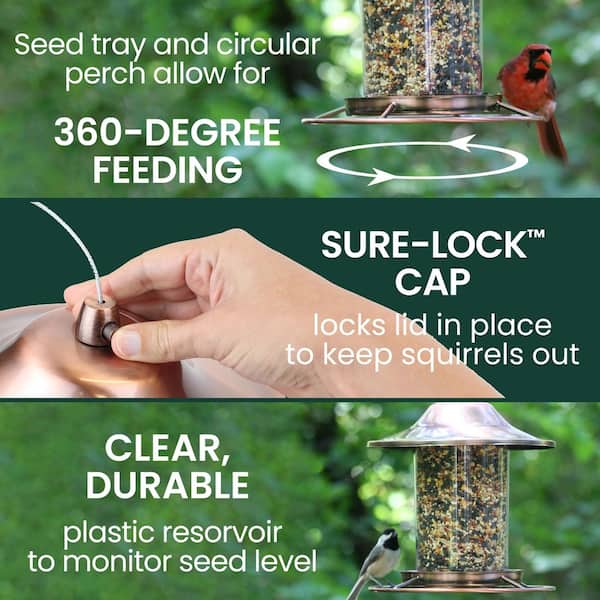 Antique Copper Rust-Resistant Panorama Hanging Wild Bird Feeder - 2 lb. Capacity