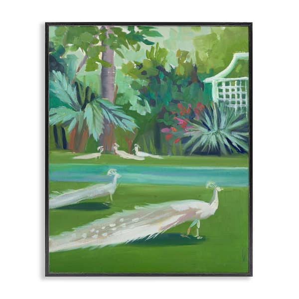 Stupell Industries White Peacocks Scene by Jenny Westenhofer Black Framed Nature Giclee Art Print 20 in. x 16 in.