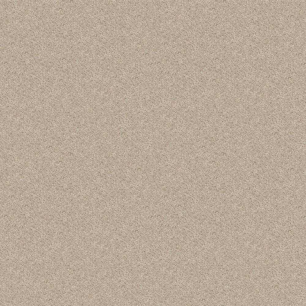 TrafficMaster Alpine - Grace - Beige 17.3 oz. Polyester Texture ...