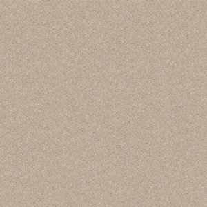 Alpine - Grace - Beige 17.3 oz. Polyester Texture Installed Carpet