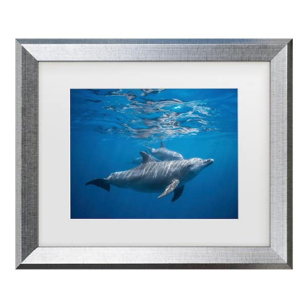 Barathieu Gabriel Pod of Dolphin Matted Framed Photography Wall Art 19.5 in. x 23.5 in.
