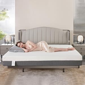 Queen Medium Foam 10 in. Bed-In-A-Box Mattress