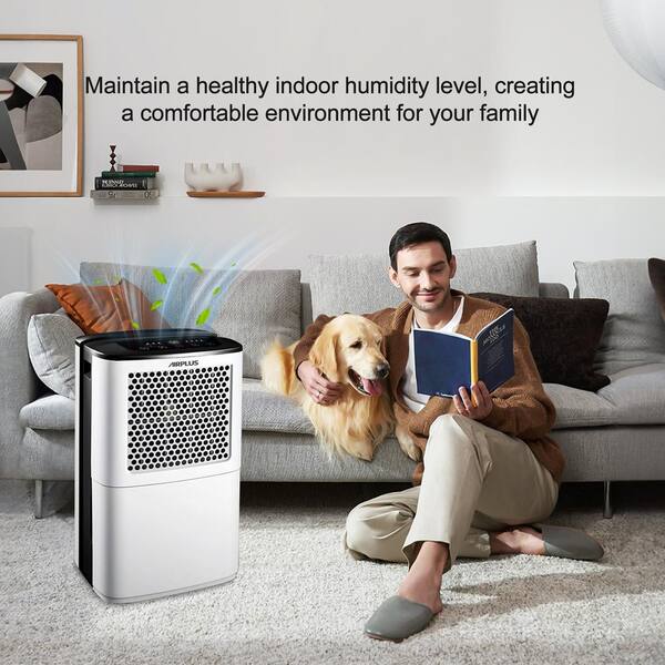 Edendirect 38 pt. 2000 sq. ft. Dehumidifier with Bucket and