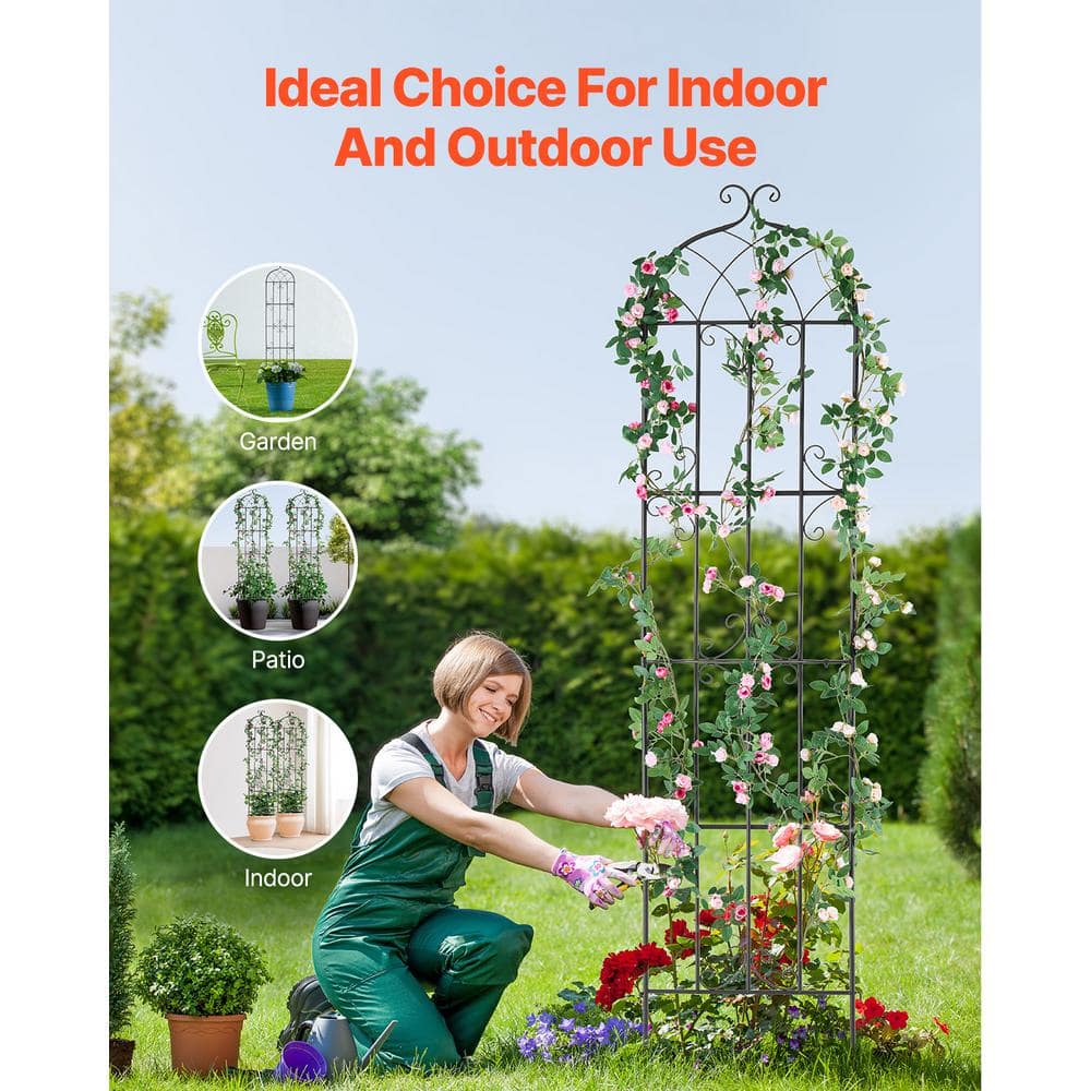 Black Powder-Coated Metal Garden Trellis Set for Climbing Plants