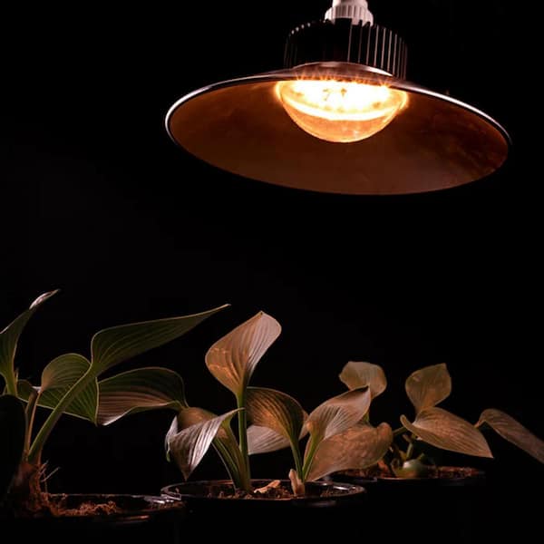 GT GT-Lite 9.75 in. 1-Light 33-Watt 28.22 PPF LED White Grow A-Style A21 Light Bulb Light and an E26 Base for Plant Growth (1-Pack)