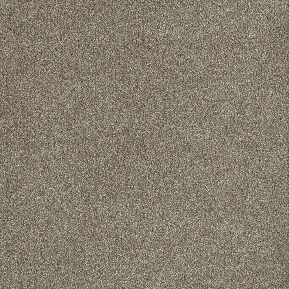 8 in. x 8 in. Texture Carpet Sample - Soft Breath Plus I -Color Sunset price history on PriceWatchPro