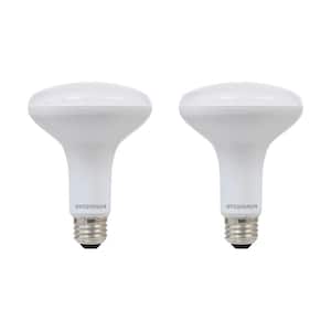 65-Watt Equivalent BR30 Dimmable LightSHIELD 2700K Soft White LED Light Bulbs (2-Pack)