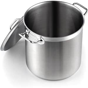 Professional Grade 11 qt. Stainless Steel Stock Pot with Lid