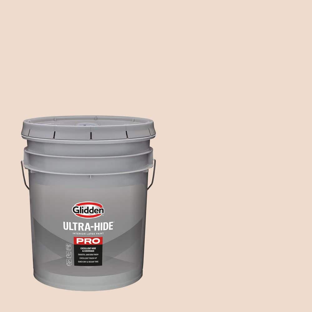 5 gal. PPG1069-1 Nosegay Satin Interior Paint price history on PriceWatchPro