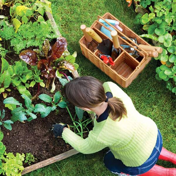 cenadinz 8-Piece Garden Tool Set YSGCW218100 - The Home Depot