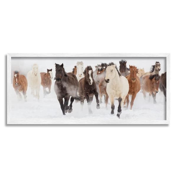 The Stupell Home Decor Collection Wild Horses Herd Foggy Winter Day Running Snow Painting by Danita Delimont Framed Animal Art Print 24 in. x 10 in.