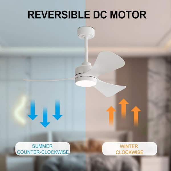 MLiAN 42 in. Dimmable Smart LED Indoor White 3-Blades Ceiling Fan 