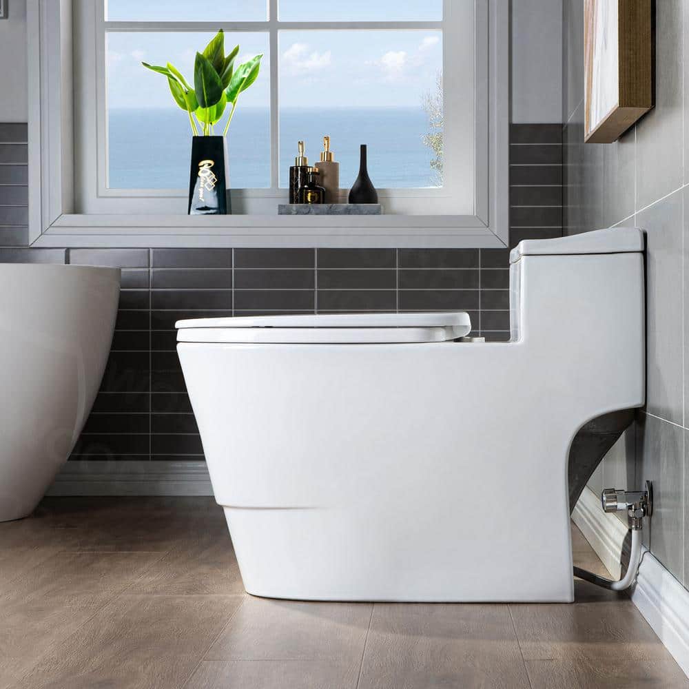White Ceramic One-Piece Dual Flush Toilet with Chrome Button