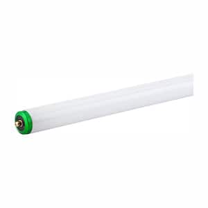 75-Watt 8 ft. Alto Supreme Linear T12 Fluorescent Tube Light Bulb, Cool White (4100K) (2-Pack)