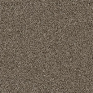 Sandcastle - Pacific - Brown 46 oz. SD Polyester Texture Installed Carpet