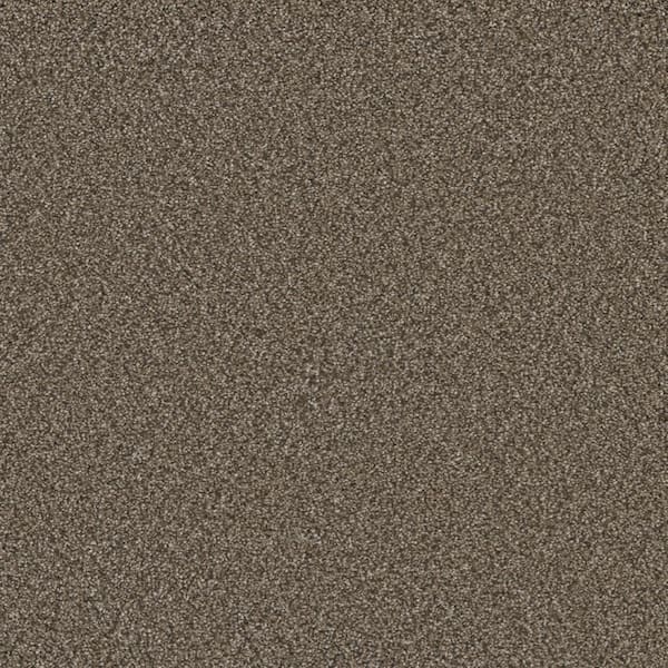 Home Decorators Collection Sandcastle - Pacific Brown - 46 oz. SD Polyester Texture Installed Carpet