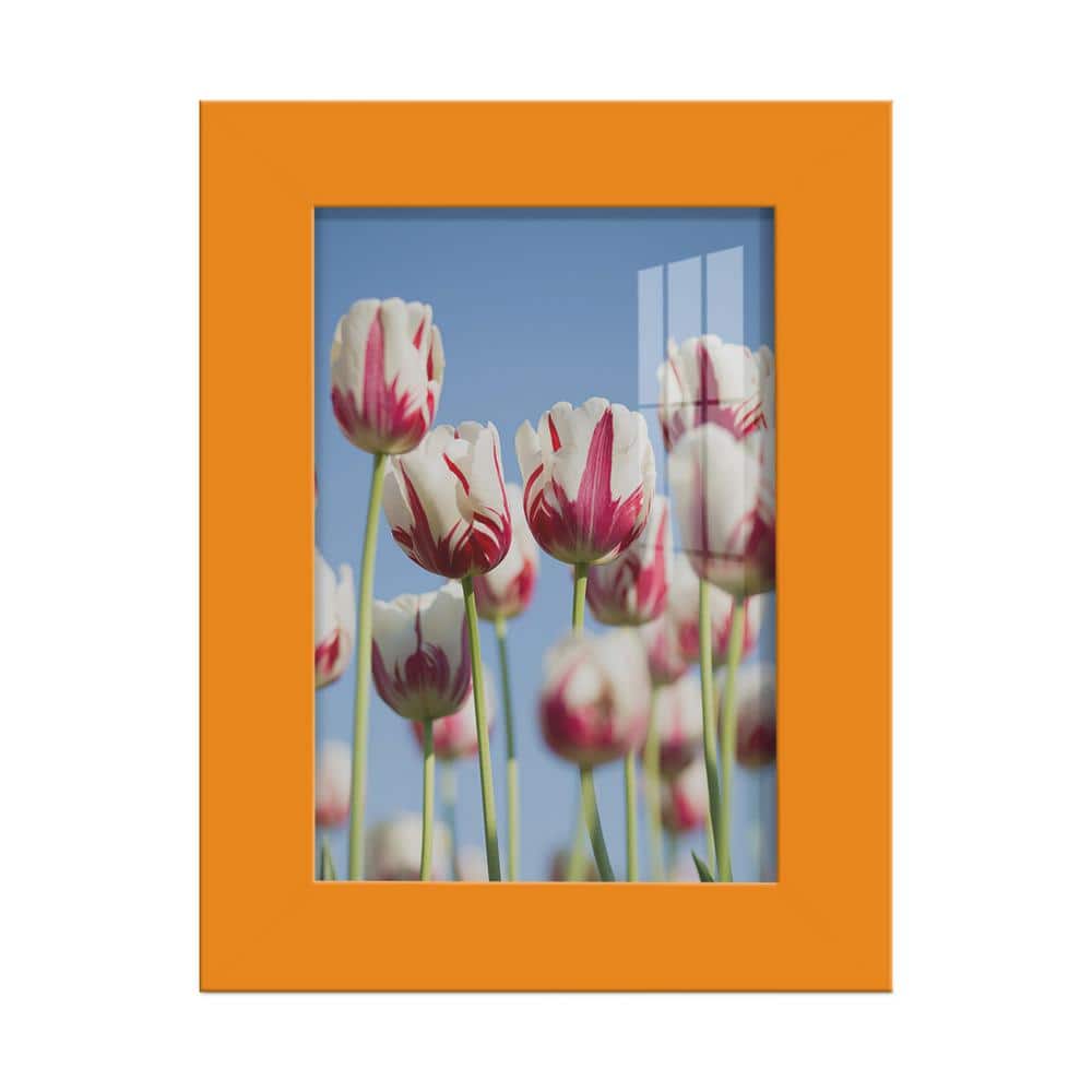 orange 5 frame
