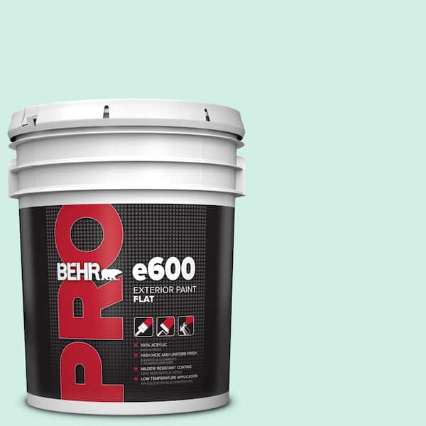 BEHR PRO 5 gal. #P440-1 Shimmering Pool Exterior Flat Paint