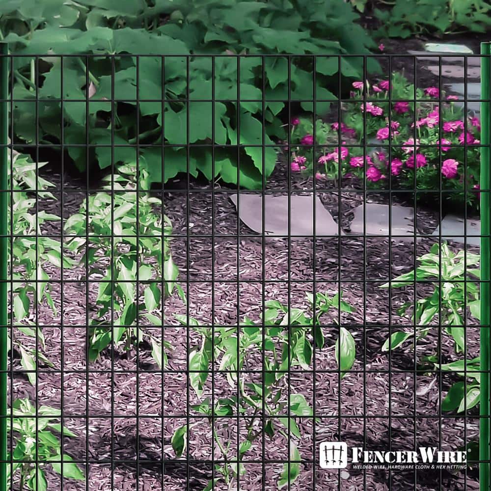 Black Vinyl Coated Welded Metal Garden Fence Wire Roll, 4 ft. x 50 ft.
