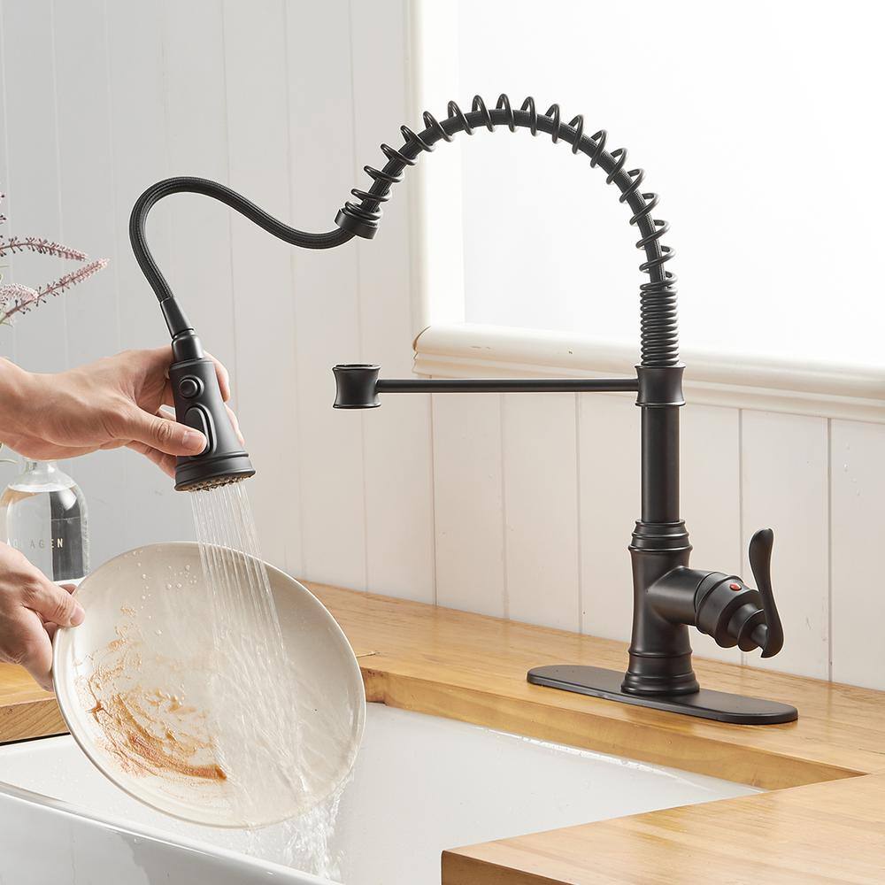 Matte Black Pull-Down Kitchen Faucet with Pull-out Spray