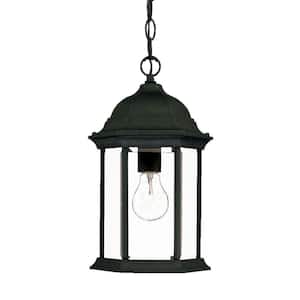 Madison Collection 1-Light Black Coral Outdoor Hanging Lantern