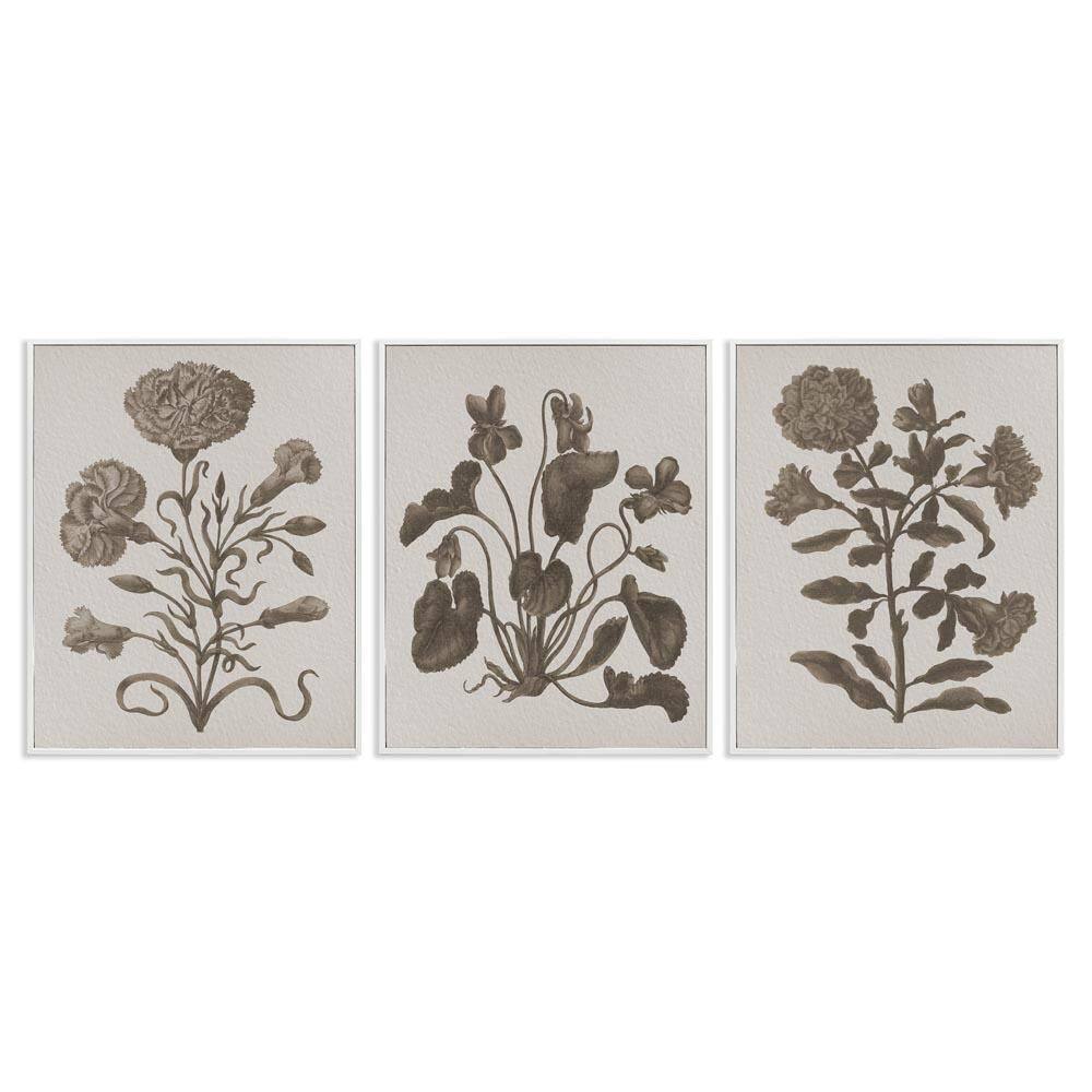 Vintage Country Botanicals by Lil' Rue 3-Pieces White Framed Nature Giclee Art Print 14 in. x 11 in. price history on PriceWatchPro
