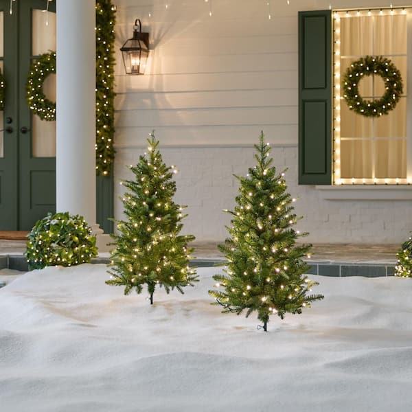 3 ft SMART Grand Duchess Balsam Fir LED Pre-Lit Trees - Set of 2