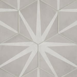 Allora Hexagon 8 in. x 10 in. Matte Stella Porcelain Floor Tile (12.67 sq. ft./Case)