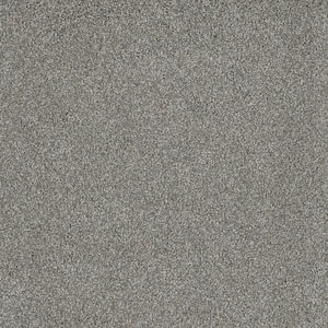 Misty Meadows II- Hudson Gray - 60 oz. SD Polyester Texture Installed Carpet