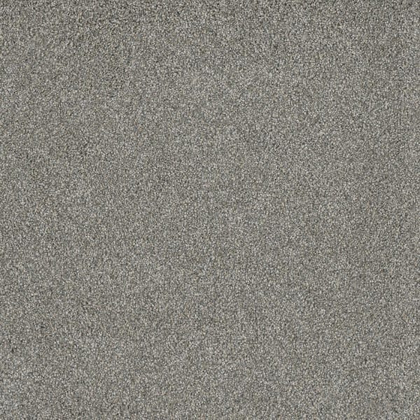 Lifeproof Misty Meadows II- Hudson Gray - 60 oz. SD Polyester Texture Installed Carpet