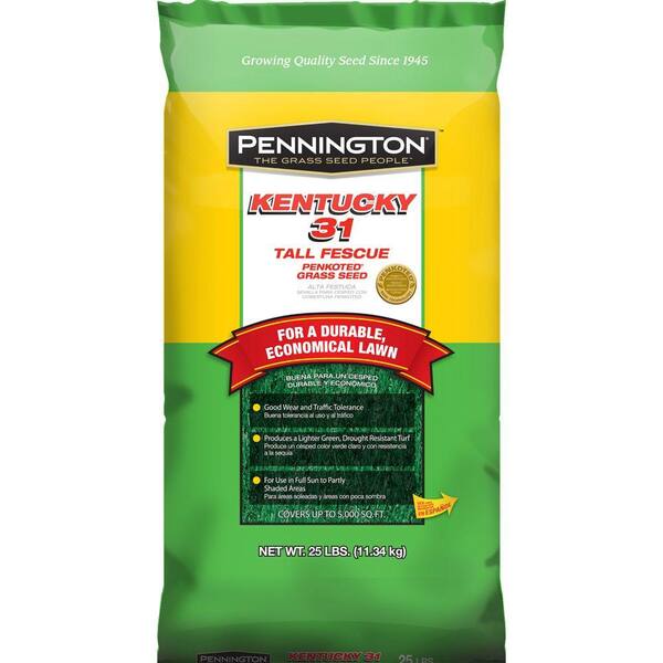 Scotts Kentucky 31 25 lb. Tall Fescue Penkoted Grass Seed (24-Bags)