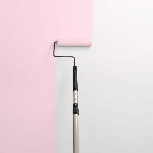 Beauteous PPG1183-2 Paint
