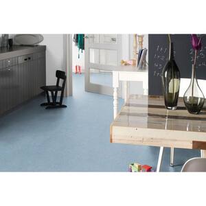 Blue Heaven 9.8 mm T x 11.8 in. W Laminate Flooring (20.3 sqft/Case)