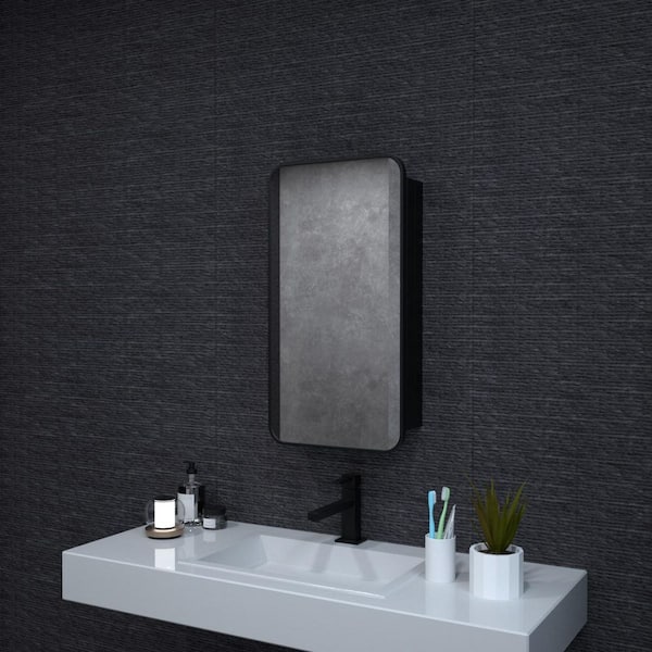 Nebris 15 in. W x 24 in. H Matte Black Rectangular Aluminum Framed Medicine Cabinet with Mirror