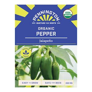 Organic Pepper Jalapeno Fruit Seed