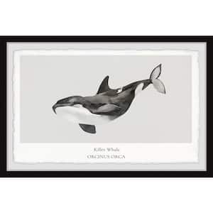 "Orcinus Orca" by Marmont Hill Framed Animal Art Print 8 in. x 12 in.
