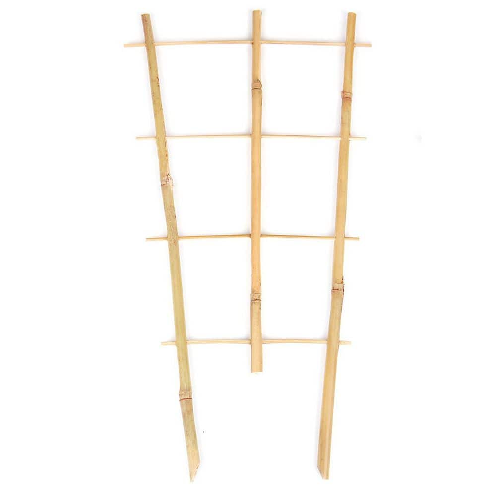 16in Bamboo Fan-Shaped Trellis Indoor 3 Pack for Potted Climbing Plants Vine Ivy Natural Durable Support price history on PriceWatchPro